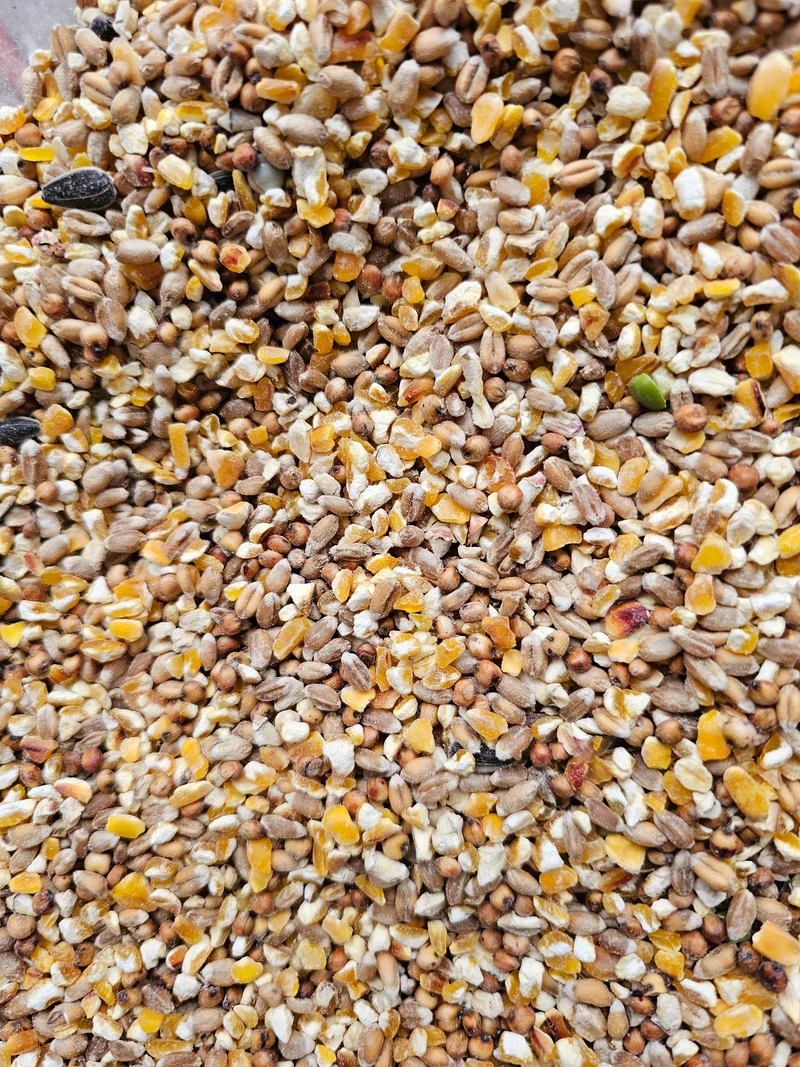 Poeljen grain 5kg - Aliments pour poulets - Sans marque