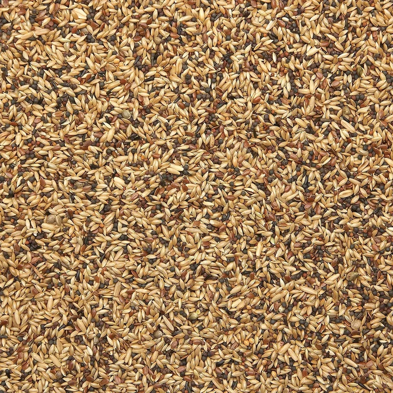 Bird Supreme – Graines chantantes pour canaris extra (20 kg) - Excellent