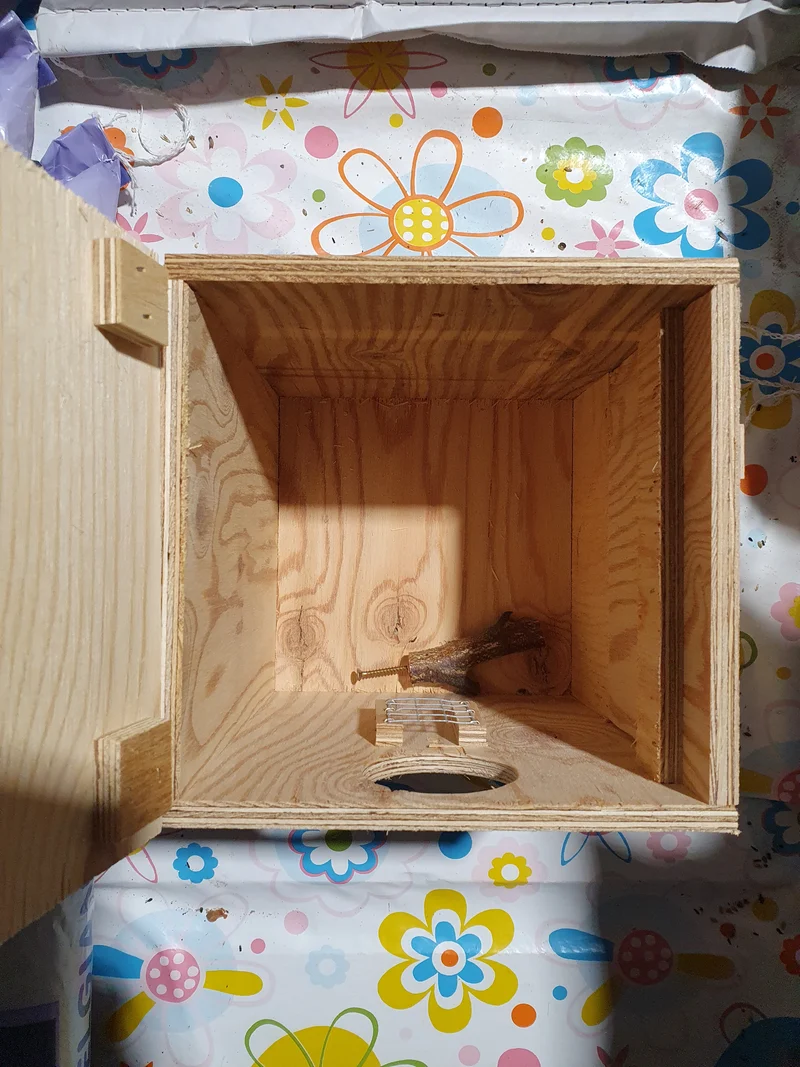 Nichoir petites perruches 20 x 20 x 30