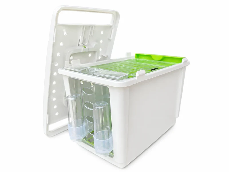Boîte de transport avec couvercle « VERT » 1 compartiment petit plastique (NZ84) STA