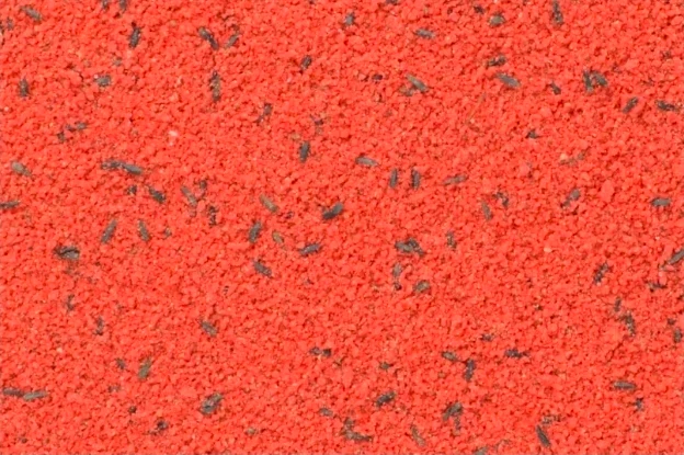 Aliment semi-humide pour œufs Bravo Red 4 kg - Bird-X