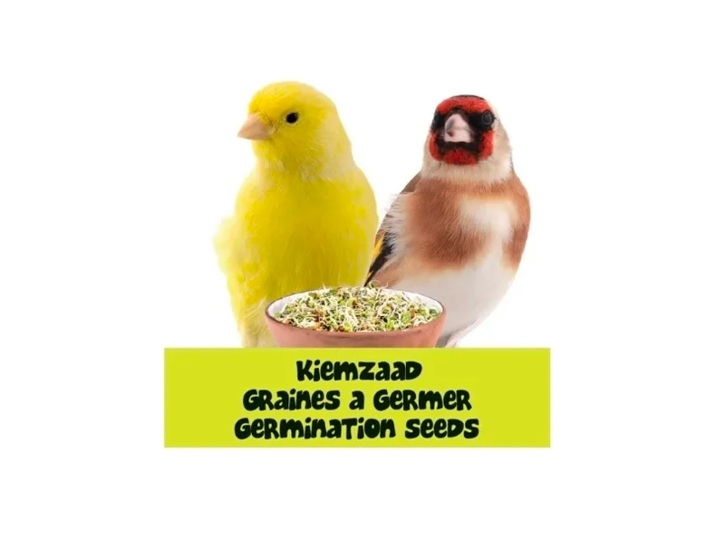 Graines germées 5 kg - Canaris et pinsons - Bird-X