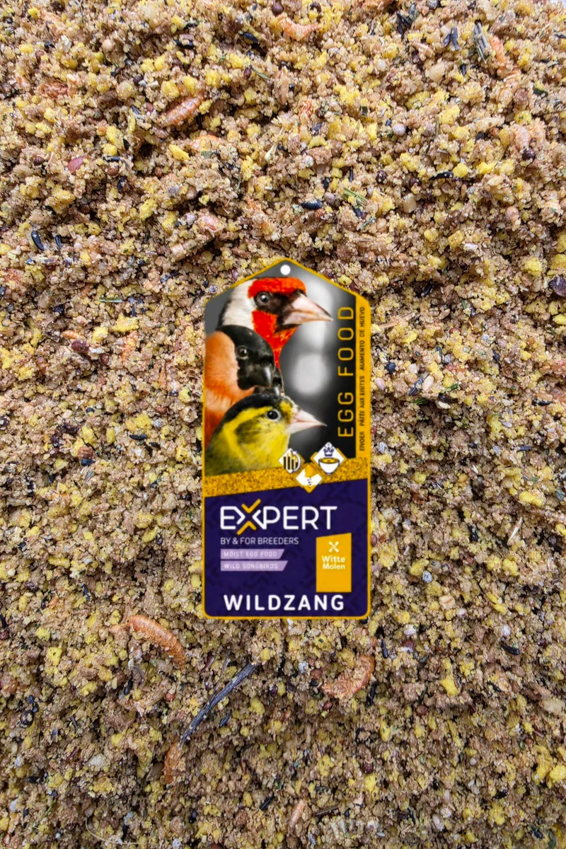 Aliment EXPERT pour œufs de passereaux sauvages - 10 kg - 15.6 % de protéines, insectes, gammares - Witte Molen