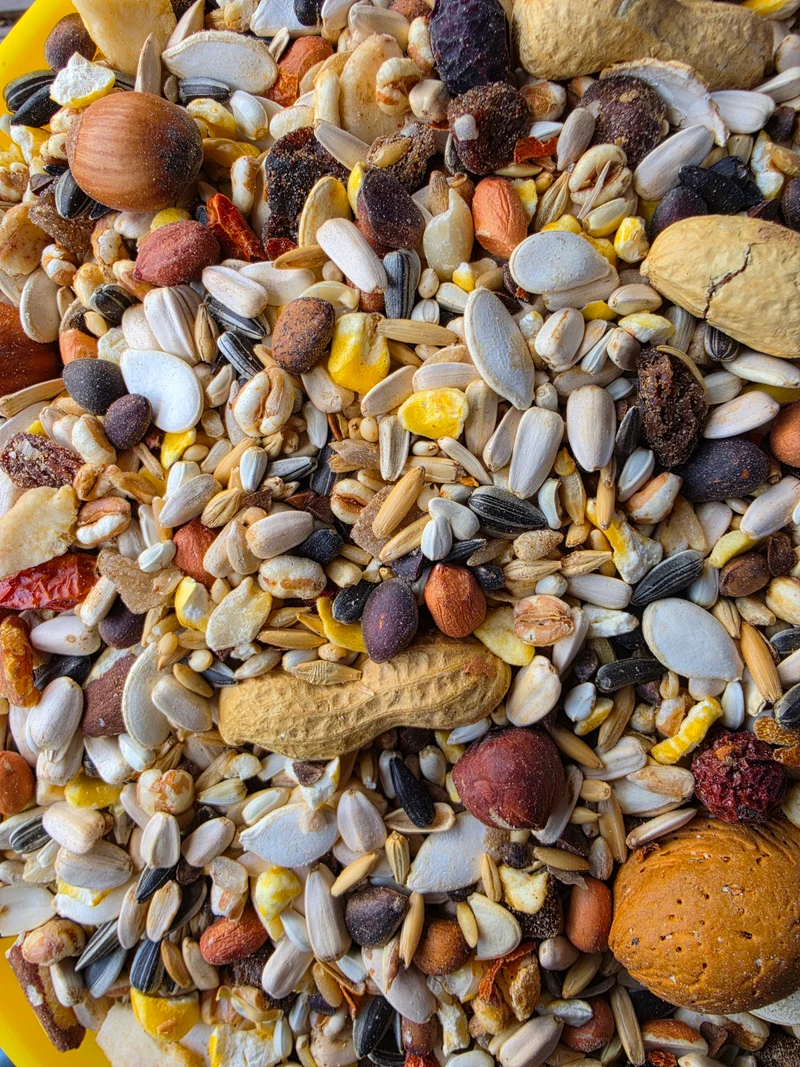 Deli Nature 26 Noix Exquises 15kg