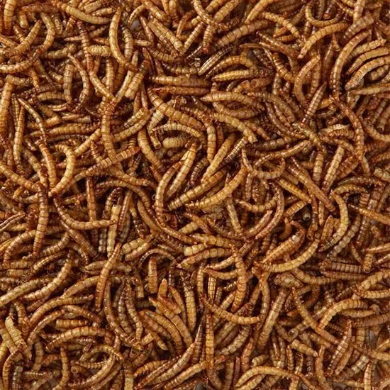 Vers de farine séchés en sac de 1 kg