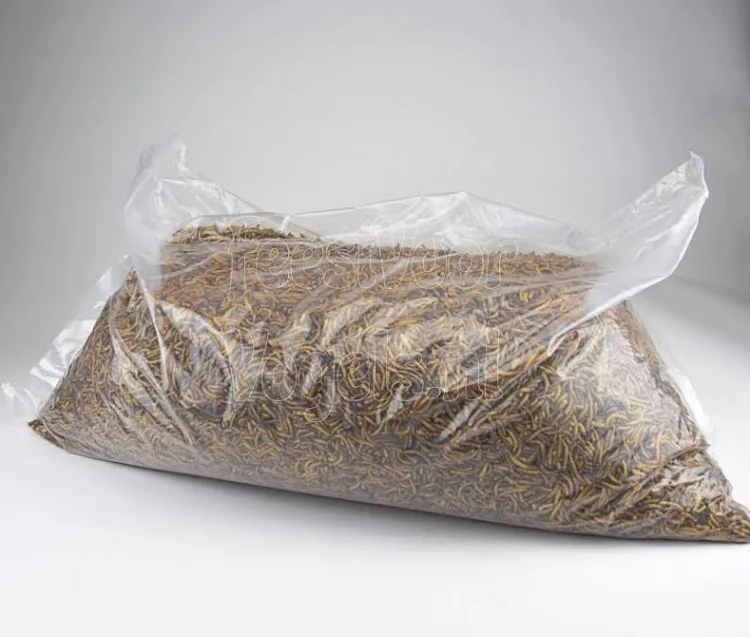 Vers de farine séchés en sac de 1 kg