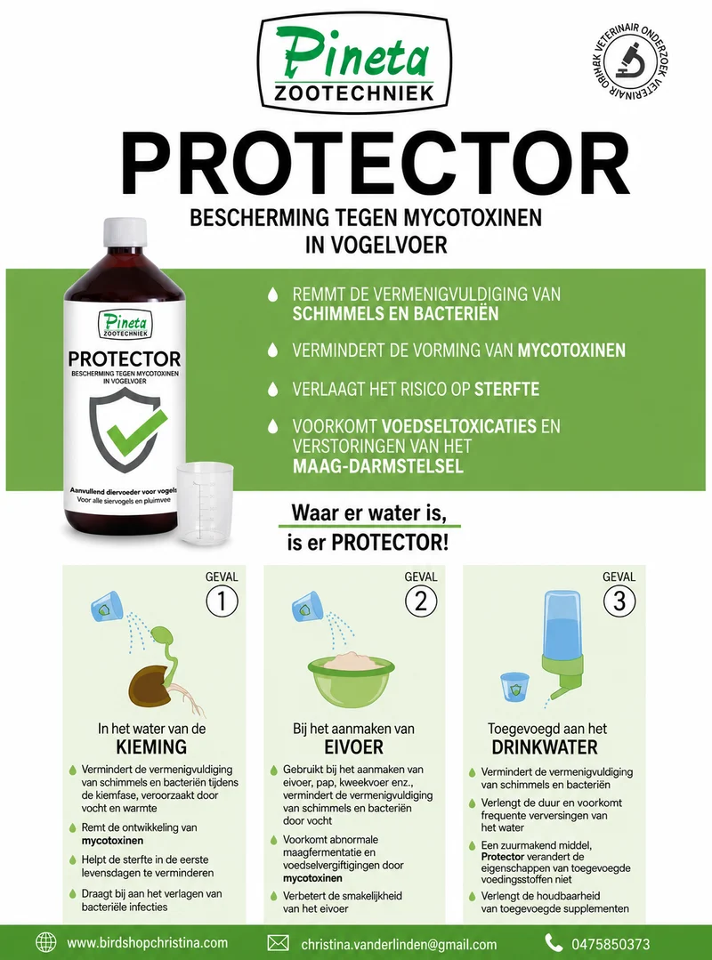 Protector 3 en 1 (antibactérien) 1 L - (Eau de germination, aliments pour œufs, eau potable) Pineta Zootecnici