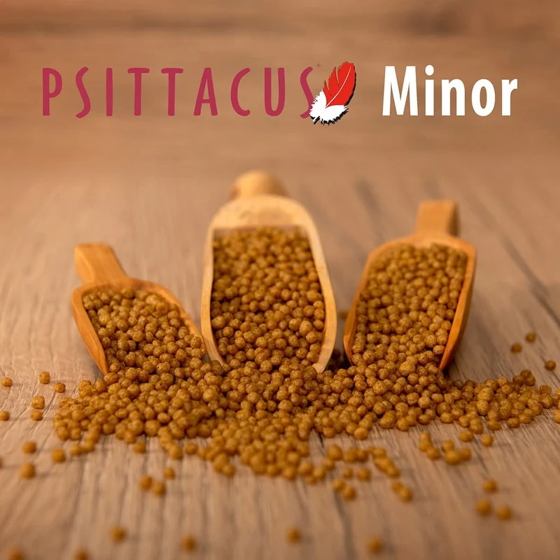 Psittacus Minor 450 grammes