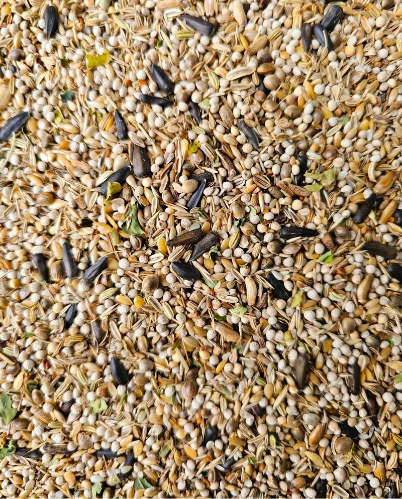 Mélange de graines de carduelis 2,5 kg - Mélange d'herbes pour oiseaux