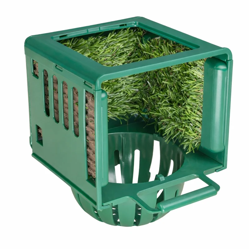 Nichoir Dream Nest Box Vert 2g 8cm