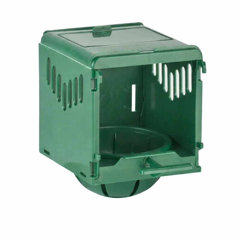 Nichoir Dream Nest Box Vert 2g 8cm
