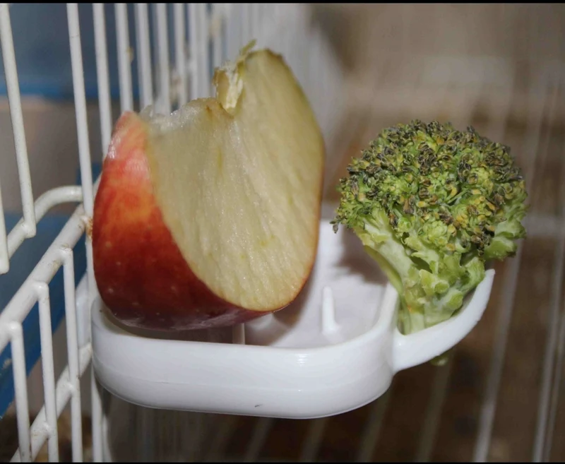 Porte-corbeille à fruits Floren « VERT » - Moldes Ave