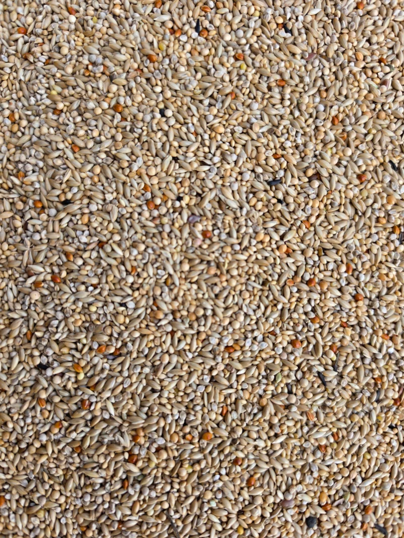 Prestige Oiseaux Tropicaux 20kg - Versele Laga
