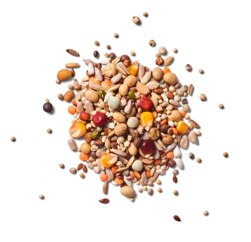 Green Power Breeding 20kg Naturel