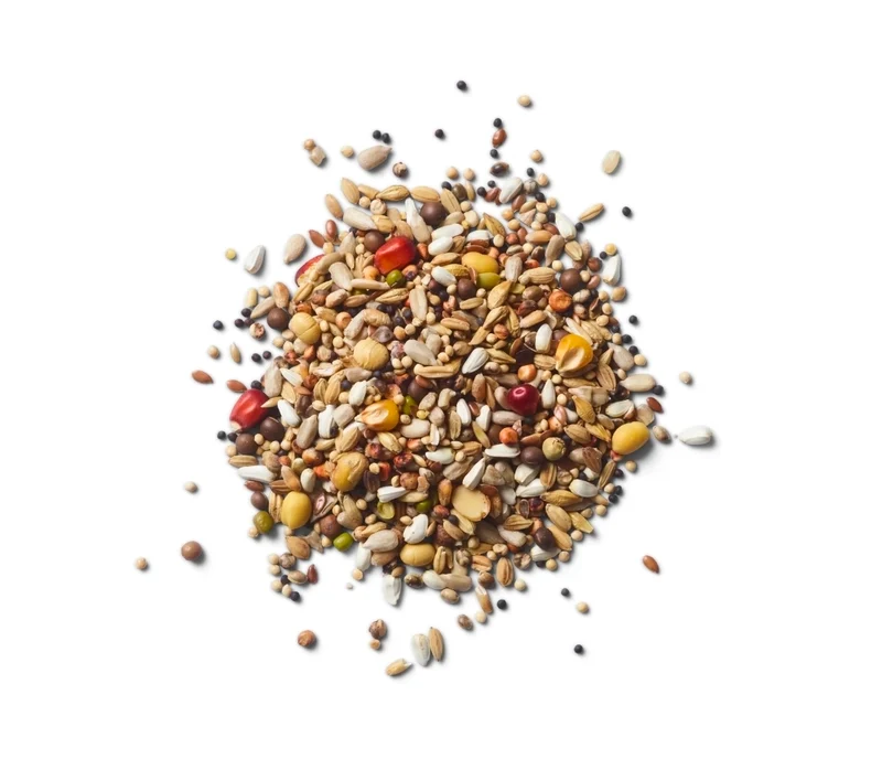 Green Power Max 20 kg Naturel