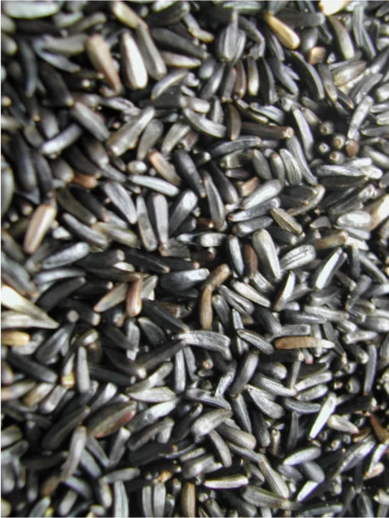 Graines de niger 15 kg - Bird-X Grizo