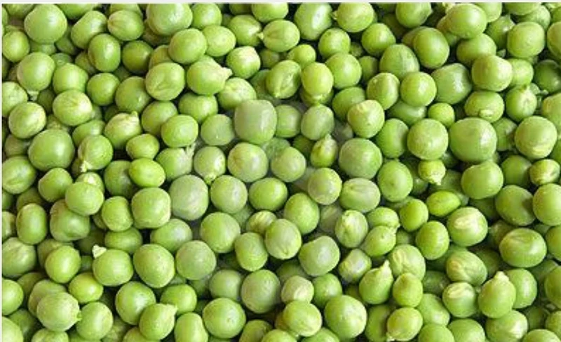Versele Laga - Petits Pois 25kg