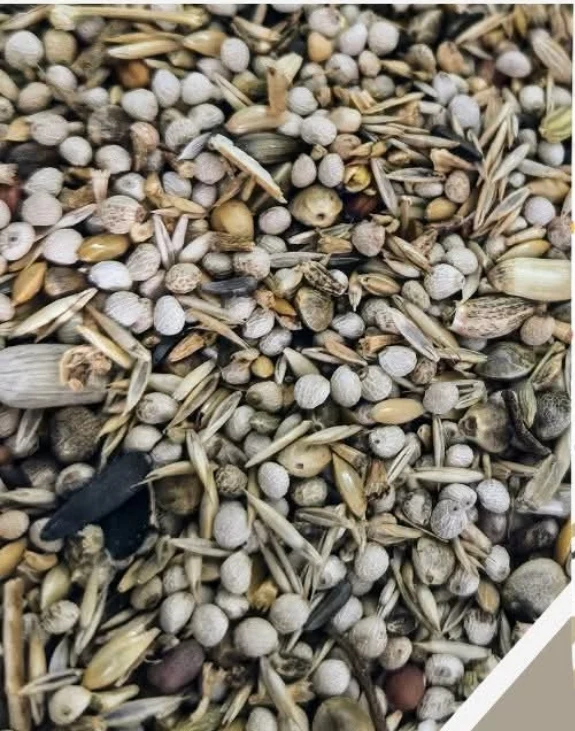 EXCELLENT MIX Frigolis 1kg - Graines Spéciales ( ¹ ) Ornizin