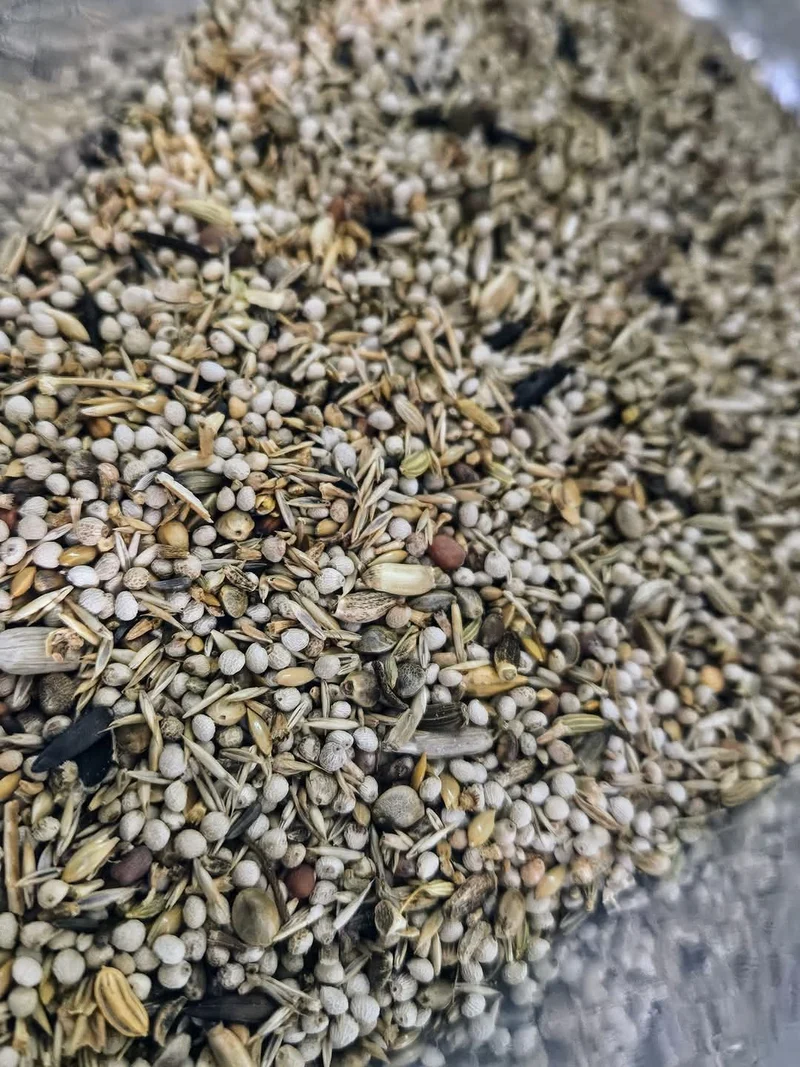 EXCELLENT MIX Frigolis 1kg - Graines Spéciales ( ¹ ) Ornizin
