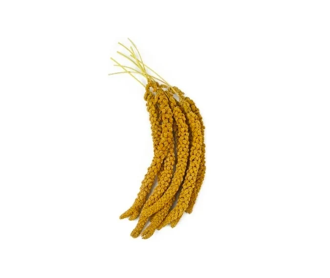 Millet jaune 1 kg - Bird-X Grizo