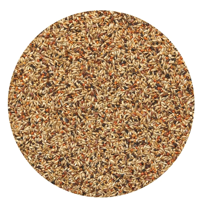 Pinsons Sport 20 kg Excellent 481 - Oiseau Suprême