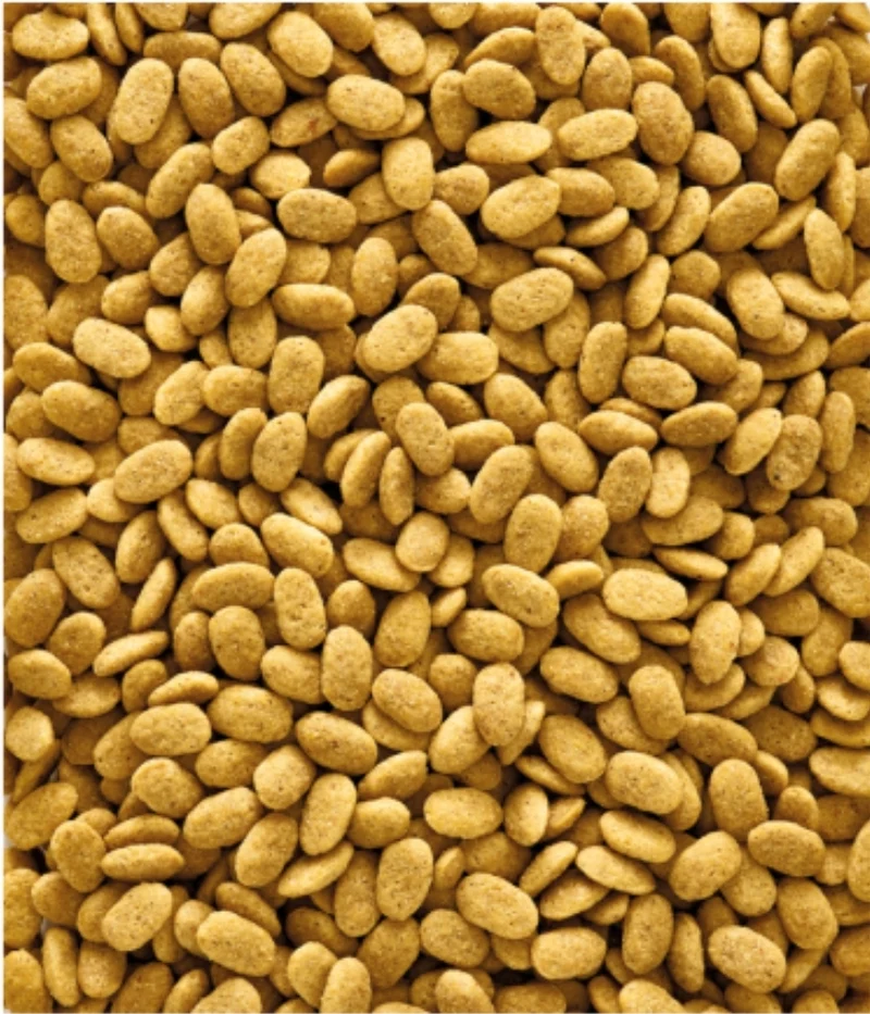 Nutribird P15 original 1kg - Granulés extrudés - Aliment d'entretien pour perroquets