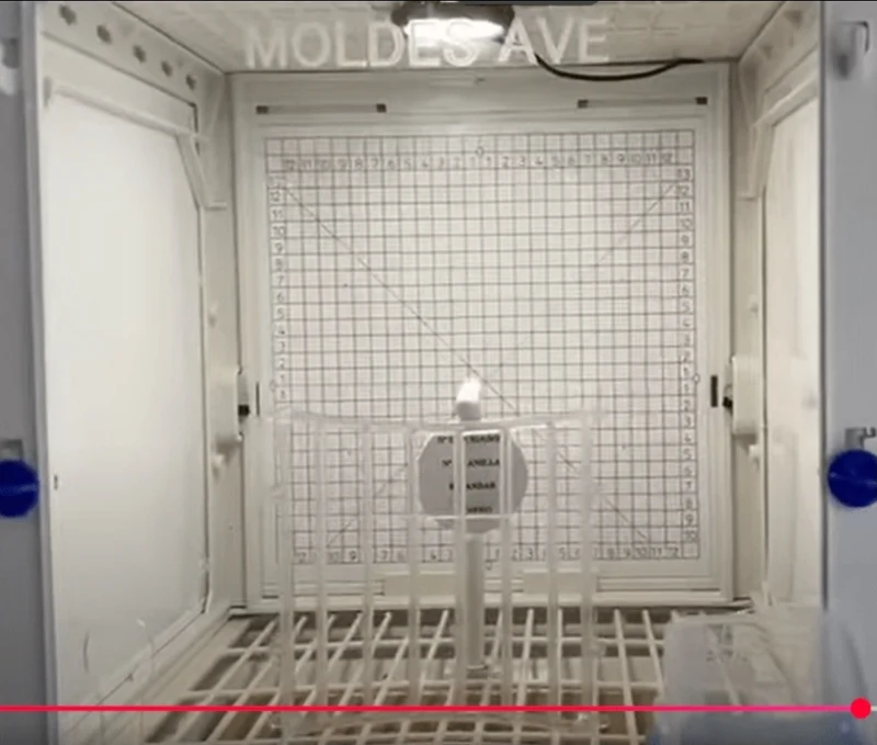 Cage photo et cage de présentation - Cage MA - Avenue Moldes