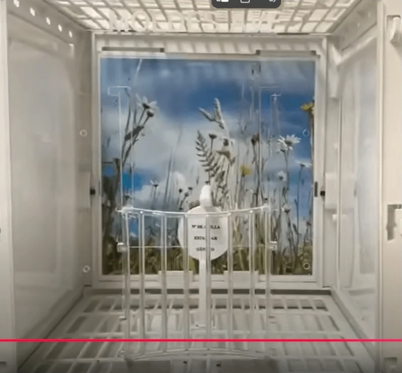 Cage photo et cage de présentation - Cage MA - Avenue Moldes