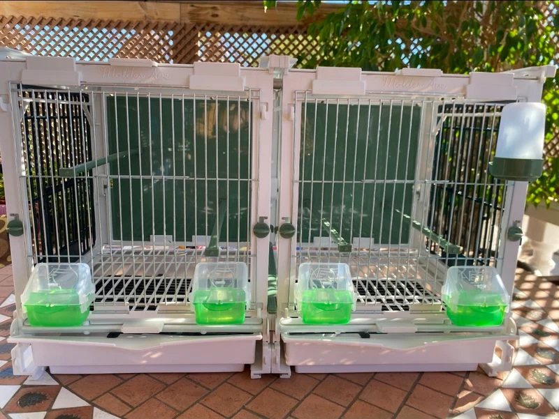 Modèle SG2, module cage 70cm - MA Kooi Moldes Ave