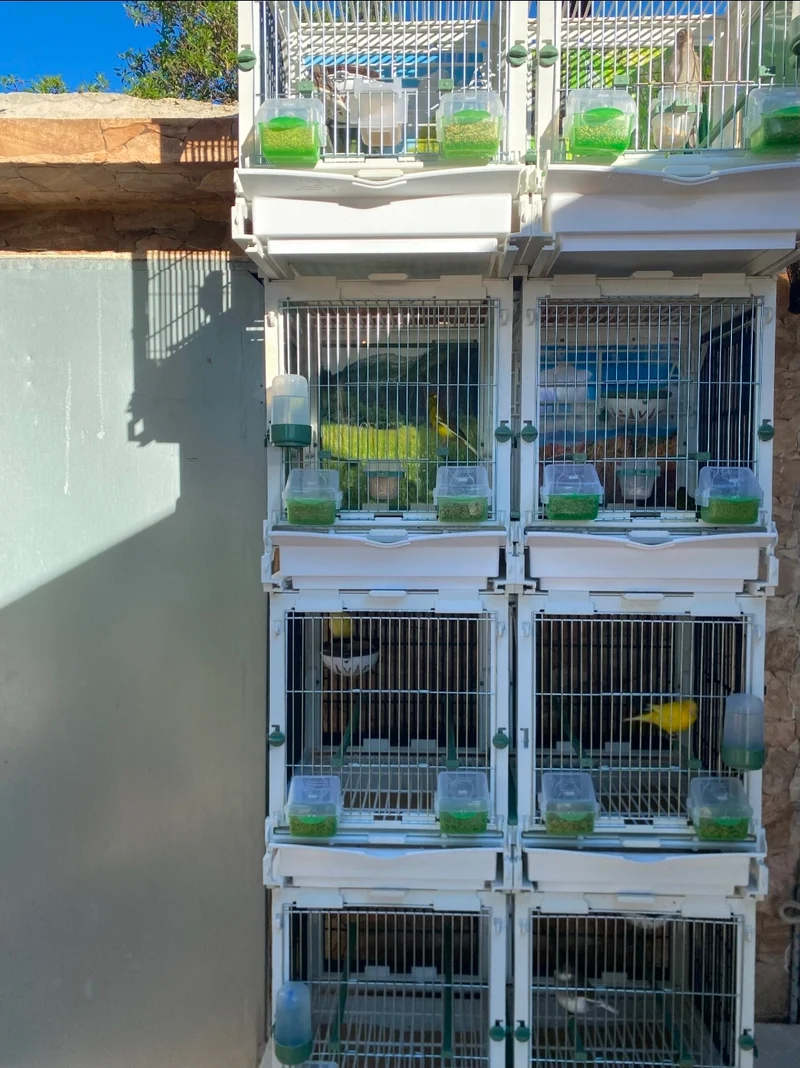 Modèle SG2, module cage 70cm - MA Kooi Moldes Ave