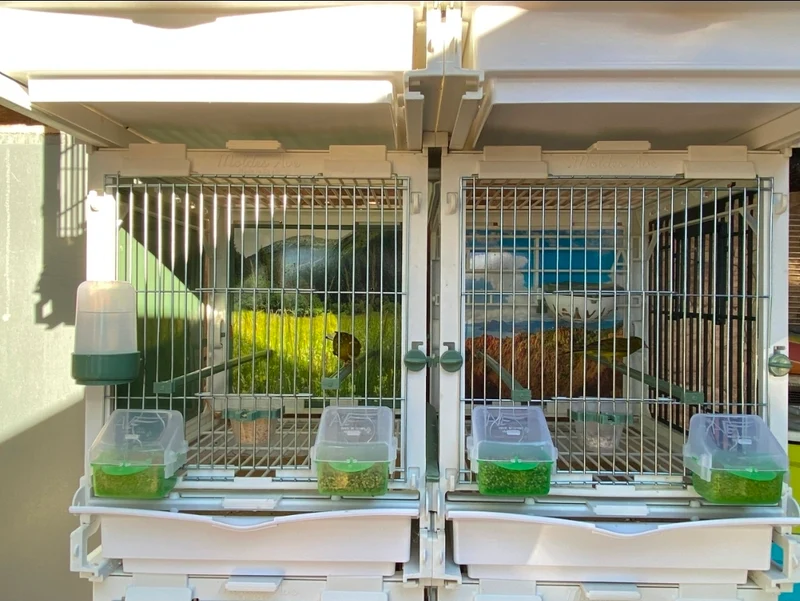 Modèle SG2, module cage 70cm - MA Kooi Moldes Ave