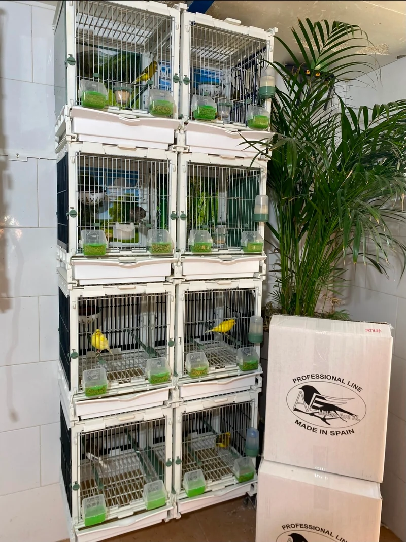 Modèle SG2, module cage 70cm - MA Kooi Moldes Ave