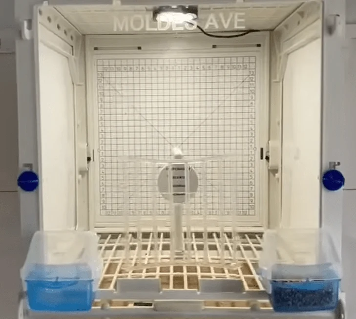 Panneaux avant en méthacrylate pour cage MA + cage photo