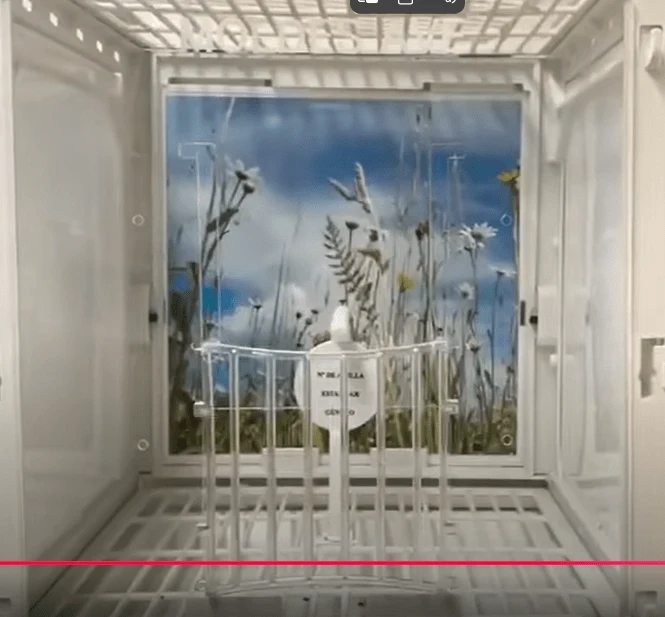 Panneaux avant en méthacrylate pour cage MA + cage photo