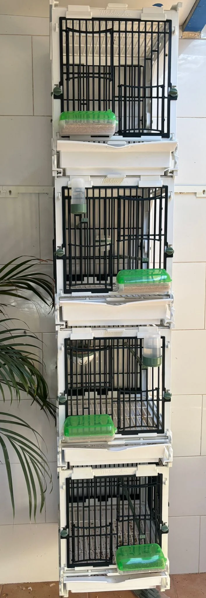 Modèle SG1, module cage - MA Cage - Moldes Ave