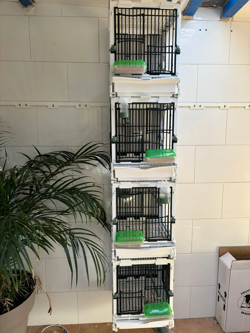Modèle SG1, module cage - MA Cage - Moldes Ave