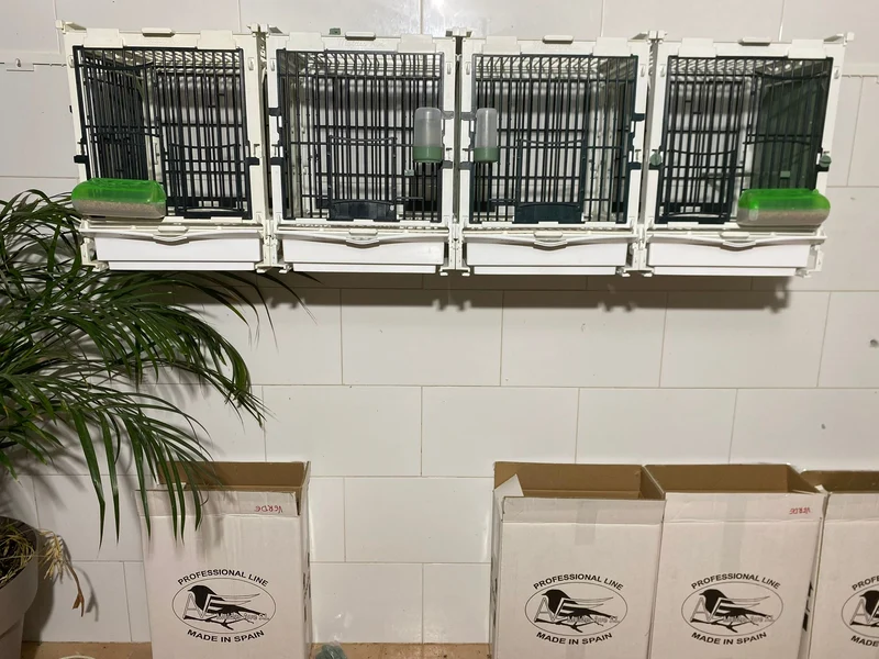 Modèle SG1, module cage - MA Cage - Moldes Ave