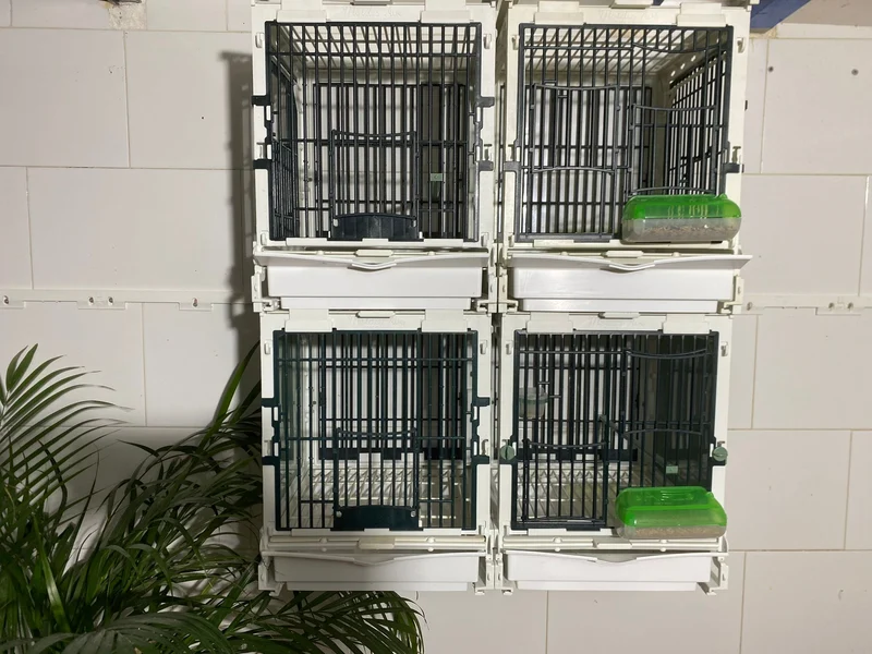 Modèle SG1, module cage - MA Cage - Moldes Ave