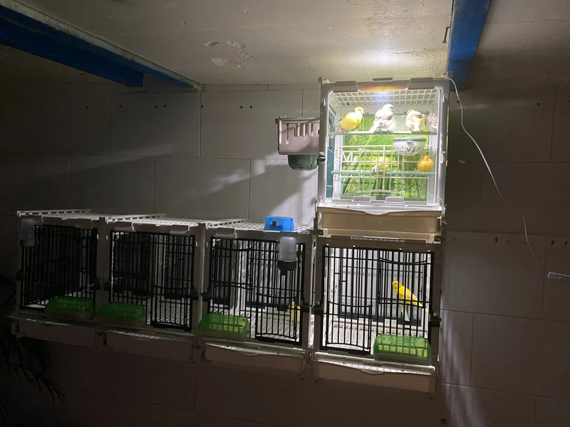 Modèle SG1, module cage - MA Cage - Moldes Ave