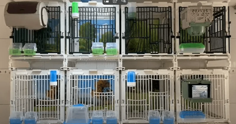 Cage frontale MA avec double porte et gamelles pour la nourriture