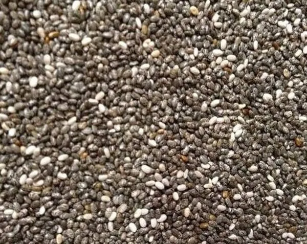 Graines de chia 1 kg Floralia