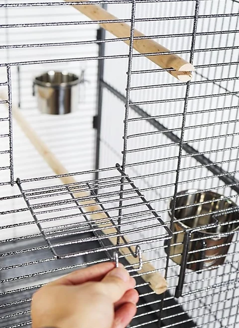 Parrot Cage Villa (prise en charge uniquement ou transport en voiture ou en camionnette)