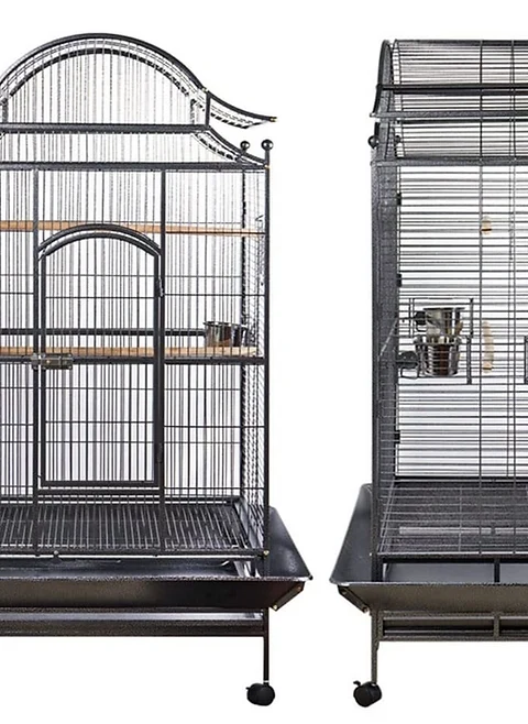 Parrot Cage Villa (prise en charge uniquement ou transport en voiture ou en camionnette)