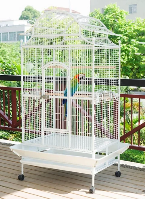 Parrot Cage Villa (prise en charge uniquement ou transport en voiture ou en camionnette)
