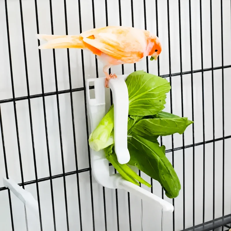 Support pour seiches et légumes + perchoir