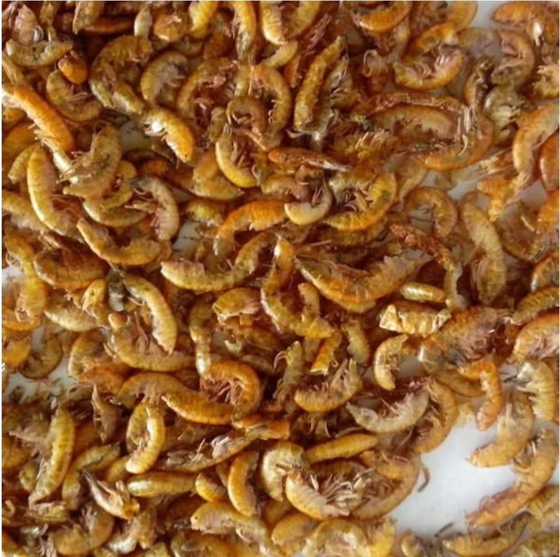 Gammarus Big bag 10kg (crevettes d'eau douce séchées)