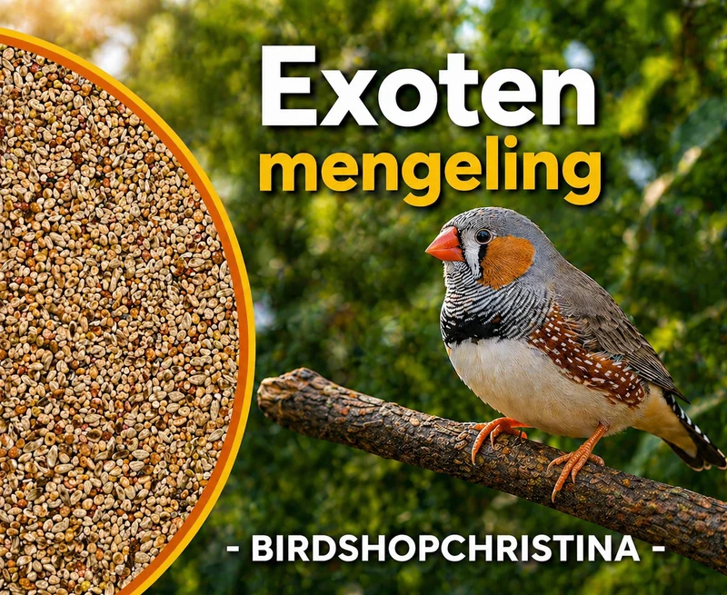 Oiseaux exotiques standard - 1 kg non décortiqués - nourriture pour oiseaux