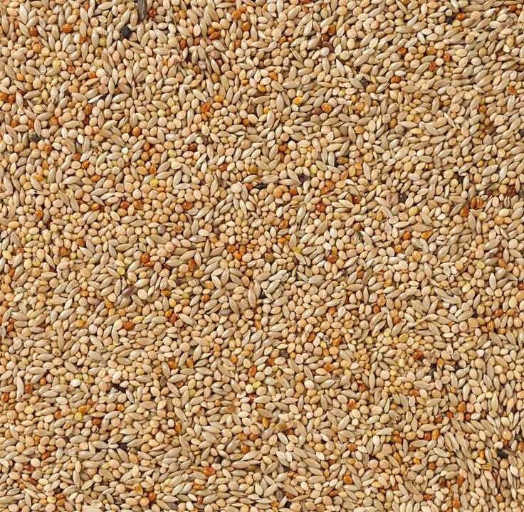 Oiseaux exotiques standard - 1 kg non décortiqués - nourriture pour oiseaux