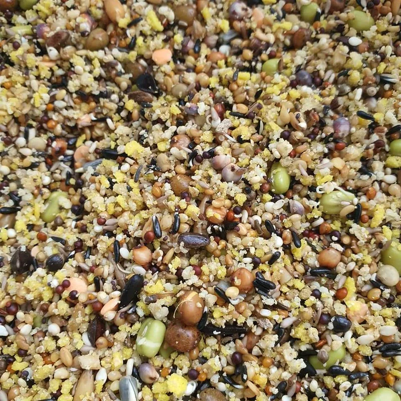 Pack combiné - Pâtée aux œufs Deluxe 3 kg (sac) + Mélange de graines germées Super Mix 3 kg (sac)