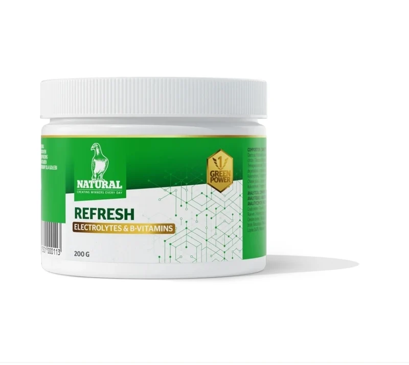Green Power, Refresh « Électrolytes et vitamines B » 200 grammes, naturel